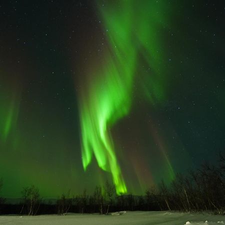 Northern Light Huts - Paradise Lapland كيرونا المظهر الخارجي الصورة