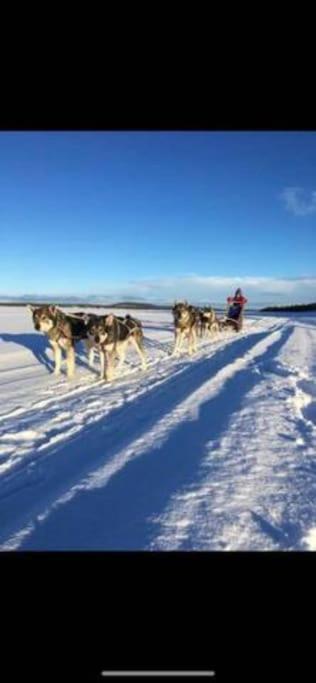 Northern Light Huts - Paradise Lapland كيرونا المظهر الخارجي الصورة