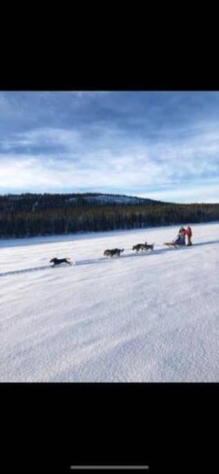 Northern Light Huts - Paradise Lapland كيرونا المظهر الخارجي الصورة
