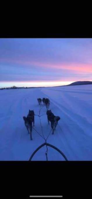 Northern Light Huts - Paradise Lapland كيرونا المظهر الخارجي الصورة